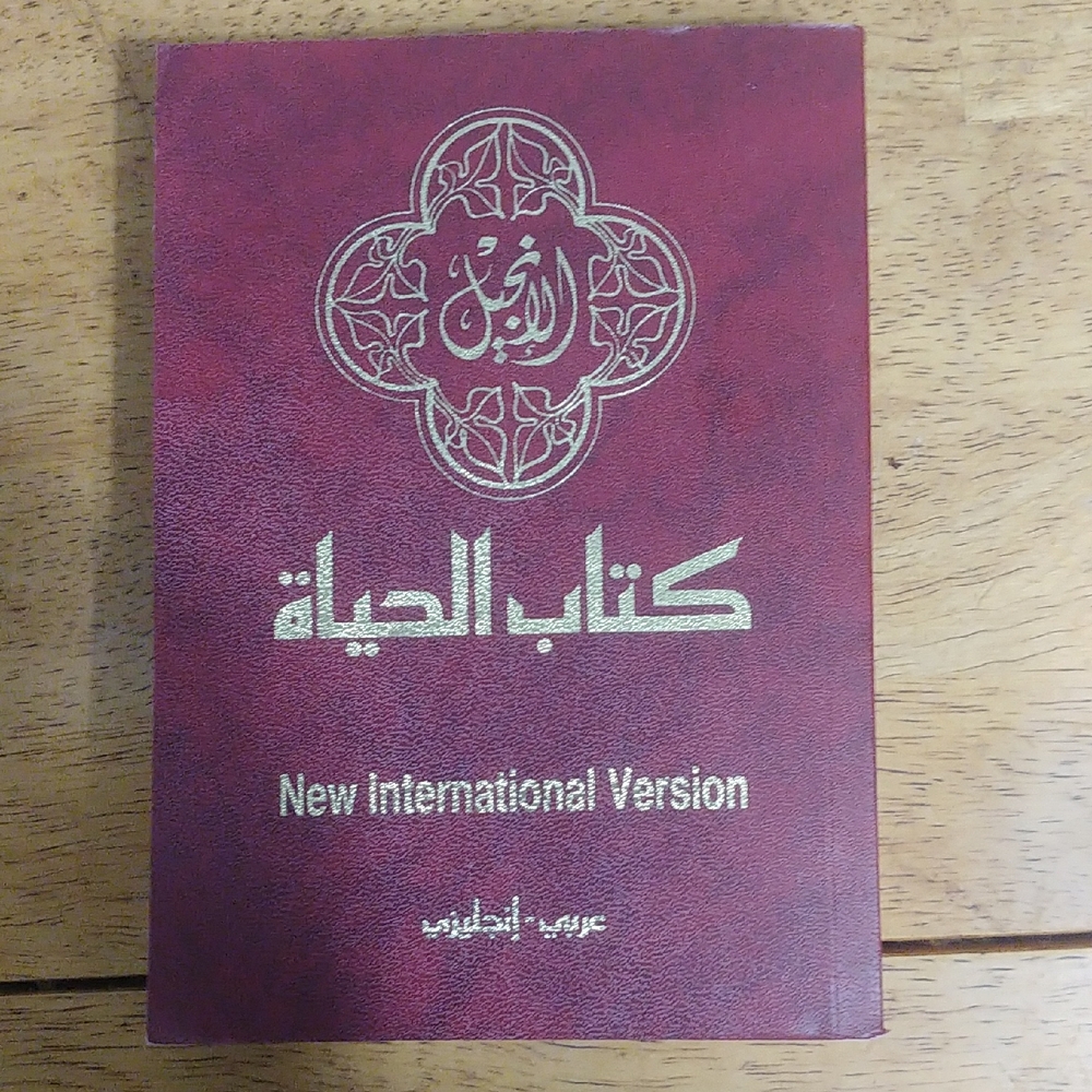 New International Version NT Bible